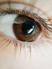 Extreme close-up of human eye