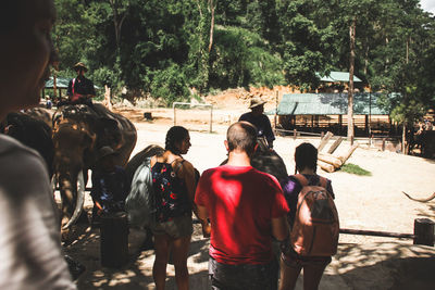 Rear view of people at shore against trees