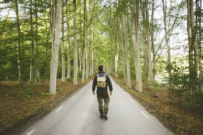 Rear view of hiker walking on road amidst trees