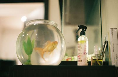 Close-up of fish in glass on table