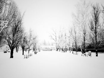 Bare trees on snow covered landscape