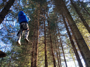 Low angle view of man against trees in forest