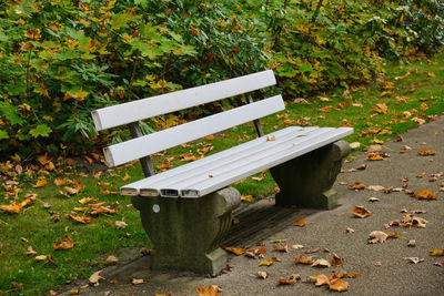 Empty bench in park