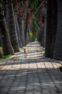 Man walking on footpath by street in city