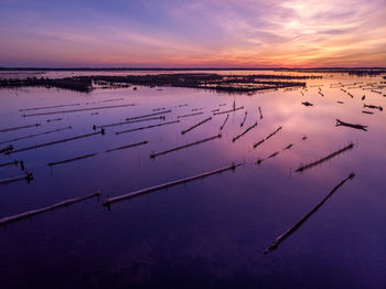 Aerial view of sea with rows of fishing net during sunrise