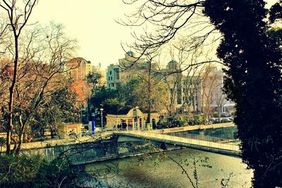 View of footbridge in park