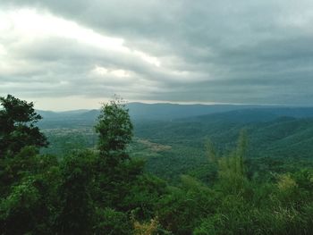 Scenic view of green landscape against sky