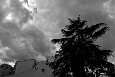 Low angle view of silhouette tree and building against sky