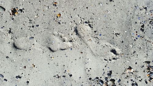 Close up of pebbles at beach