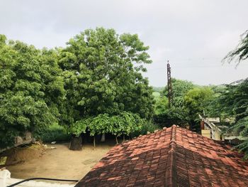 View of trees and plants against cloudy sky