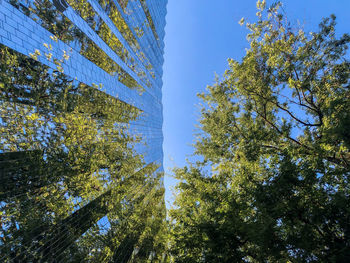 Low angle view of trees against sky