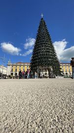 View of christmas tree against building