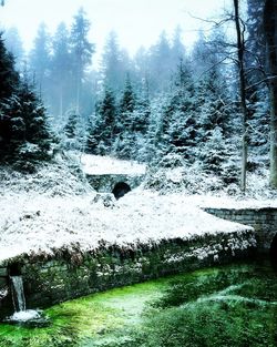 Scenic view of waterfall in forest during winter