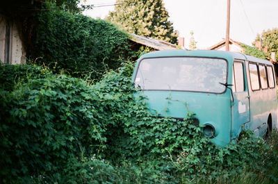 Abandoned car in yard