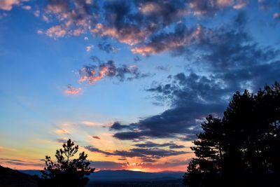 Low angle view of silhouette trees against sky at sunset