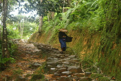 Rear view of woman walking in forest