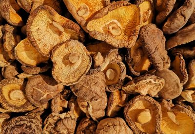 Dried mushroomsare sold in supermarkets