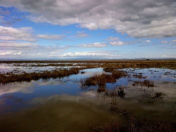 Scenic view of calm lake against cloudy sky