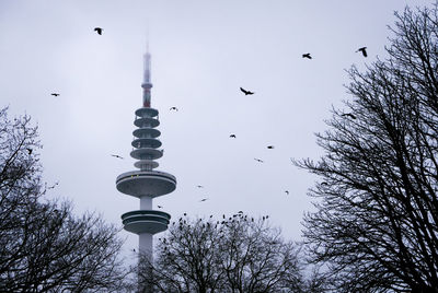 Low angle view of communications tower and bare trees against birds in clear sky