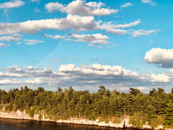 Scenic view of trees against sky