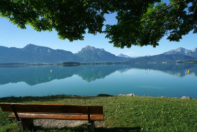 Scenic view of lake by trees against sky