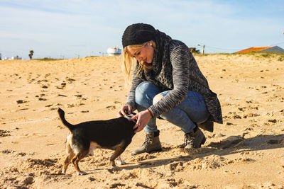 Full length of a dog on beach