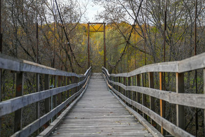 Footbridge amidst trees in forest