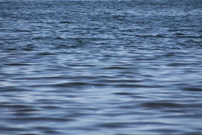 Full frame shot of rippled water