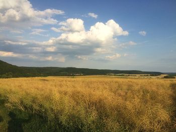 Scenic view of field against cloudy sky