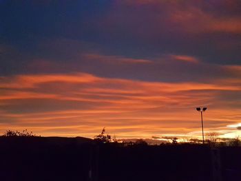 Low angle view of silhouette trees against sky during sunset