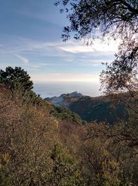 Scenic view of landscape against cloudy sky