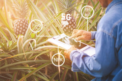 Midsection of man holding plants