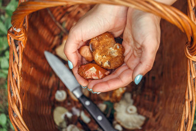 Close-up of woman hand holding mushroom