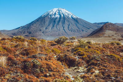 Mount ngaurohoe, tongariro national park, new zealand. 