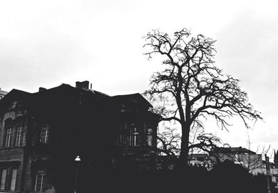 Low angle view of building against sky