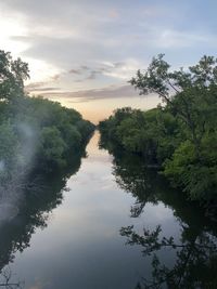 Reflection of trees on water against sky