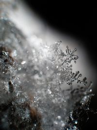 Close-up of frozen water against sky