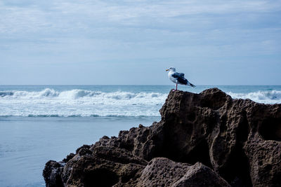 Man perching on rock by sea against sky