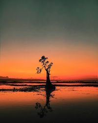 Silhouette tree by sea against sky during sunset