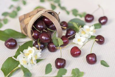 Close-up of fruits served on table