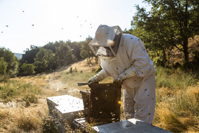 Anonymous beekeeper in protective gloves fumigating beehive with smoker while working on apiary in sunny day