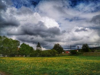 Scenic view of field against sky