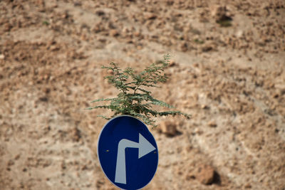 Close-up of road sign on field