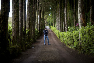 Rear view of person walking on road amidst trees