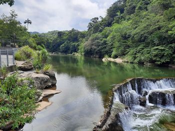 Scenic view of river by trees in forest against sky