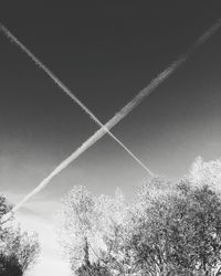 Low angle view of trees against sky