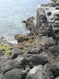 High angle view of rocks on beach