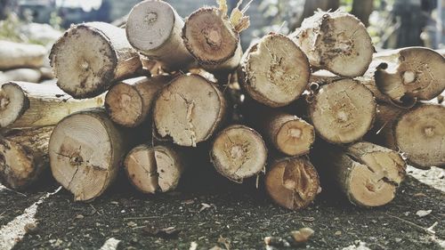 Stack of logs