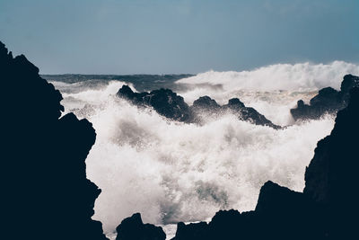 Waves with surf on azores coast.
the azores are an island that belongs to portugal