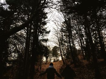 Rear view of man walking on bare trees in forest